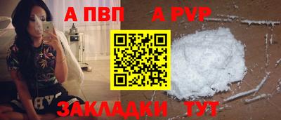 PSILOCYBIN Гатчина