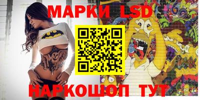 PSILOCYBIN Гатчина