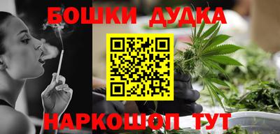 PSILOCYBIN Гатчина