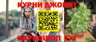 PSILOCYBIN Гатчина