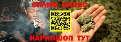 мдпв Гагарин