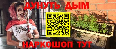 PSILOCYBIN Гатчина